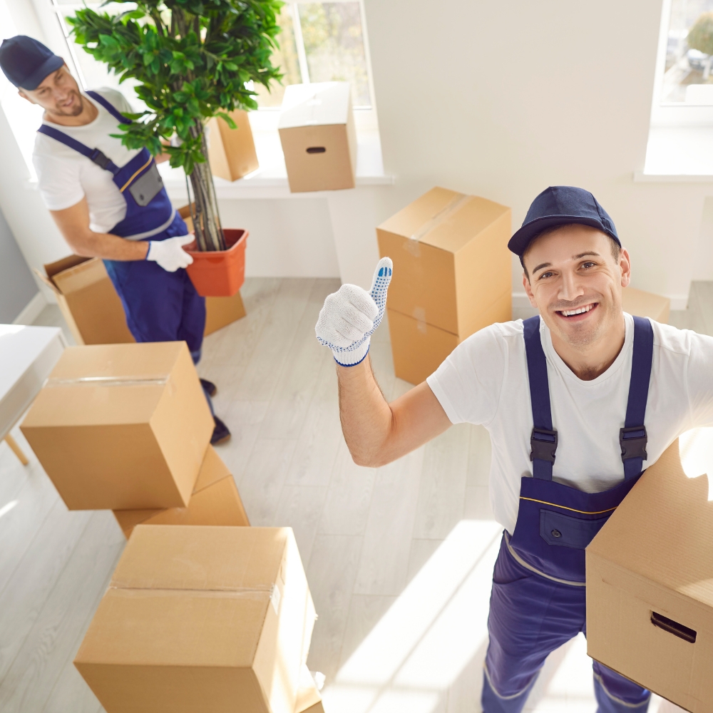 Wohnungsauflösungen Thumbnail